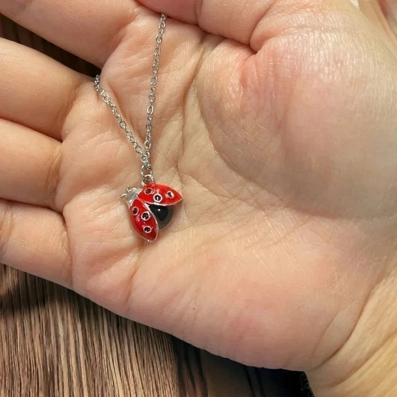 1 LEFT! Lady Bug Necklace - Picture 2 of 2